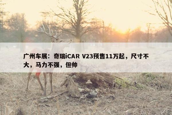 广州车展：奇瑞iCAR V23预售11万起，尺寸不大，马力不强，但帅