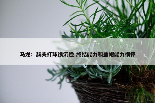 马龙：赫夫打球很沉稳 终结能力和盖帽能力很棒