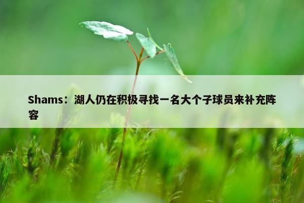 Shams：湖人仍在积极寻找一名大个子球员来补充阵容