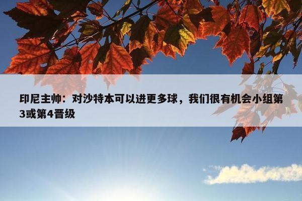 印尼主帅：对沙特本可以进更多球，我们很有机会小组第3或第4晋级