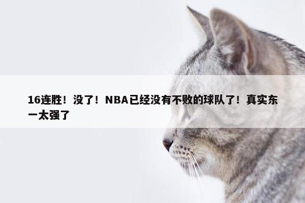 16连胜！没了！NBA已经没有不败的球队了！真实东一太强了