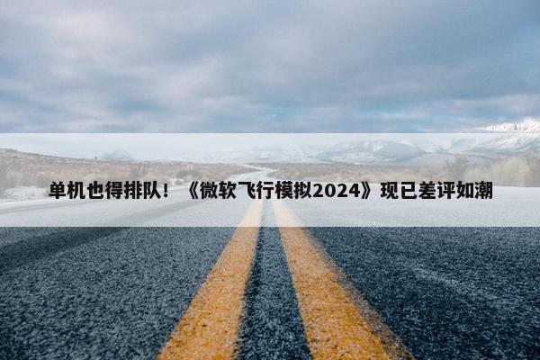 单机也得排队！《微软飞行模拟2024》现已差评如潮