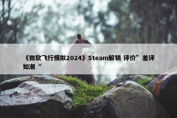 《微软飞行模拟2024》Steam解锁 评价”差评如潮“