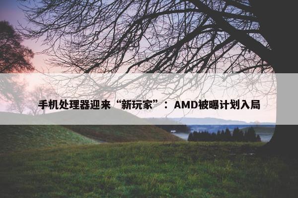 手机处理器迎来“新玩家”：AMD被曝计划入局