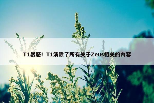 T1暴怒！T1清除了所有关于Zeus相关的内容