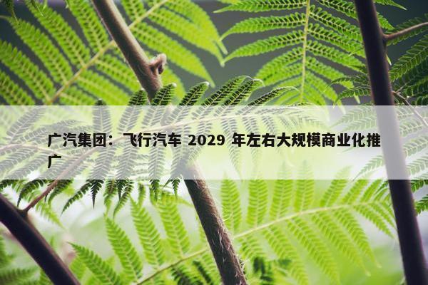 广汽集团：飞行汽车 2029 年左右大规模商业化推广