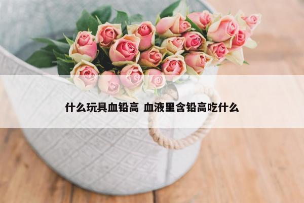 什么玩具血铅高 血液里含铅高吃什么