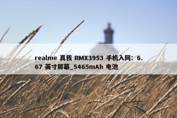 realme 真我 RMX3953 手机入网：6.67 英寸屏幕_5465mAh 电池