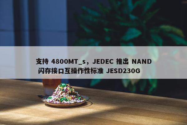 支持 4800MT_s，JEDEC 推出 NAND 闪存接口互操作性标准 JESD230G