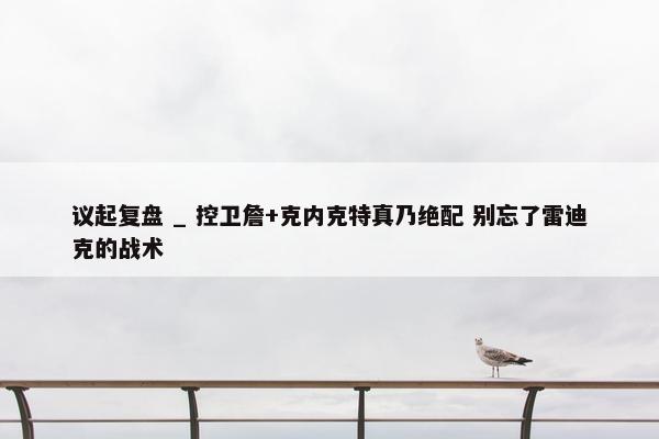 议起复盘 _ 控卫詹+克内克特真乃绝配 别忘了雷迪克的战术