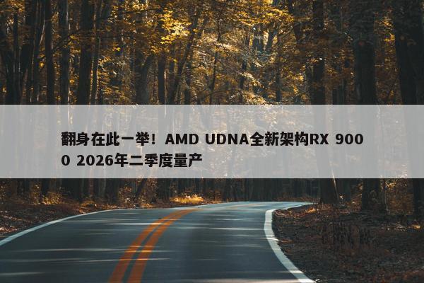 翻身在此一举！AMD UDNA全新架构RX 9000 2026年二季度量产