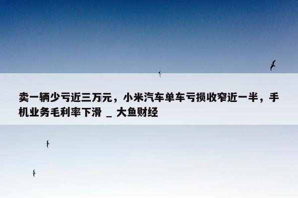 卖一辆少亏近三万元，小米汽车单车亏损收窄近一半，手机业务毛利率下滑 _ 大鱼财经