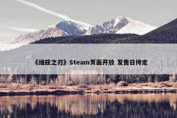 《维兹之刃》Steam页面开放 发售日待定