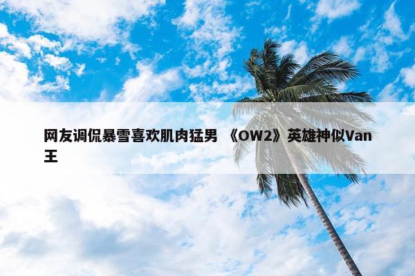 网友调侃暴雪喜欢肌肉猛男 《OW2》英雄神似Van王