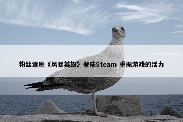 粉丝请愿《风暴英雄》登陆Steam 重振游戏的活力