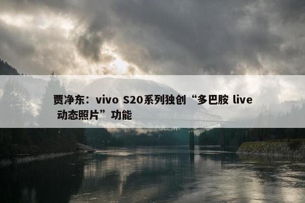 贾净东：vivo S20系列独创“多巴胺 live 动态照片”功能