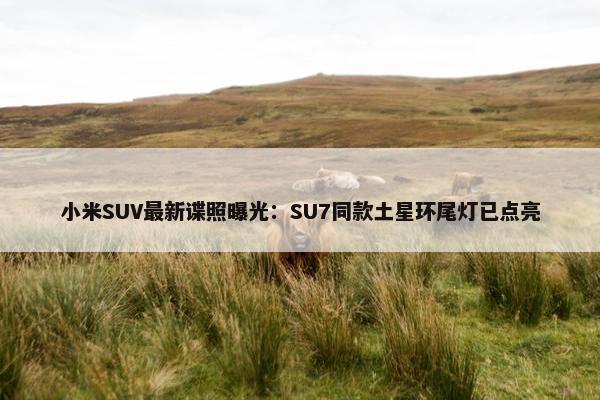 小米SUV最新谍照曝光：SU7同款土星环尾灯已点亮