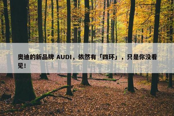 奥迪的新品牌 AUDI，依然有「四环」，只是你没看见！