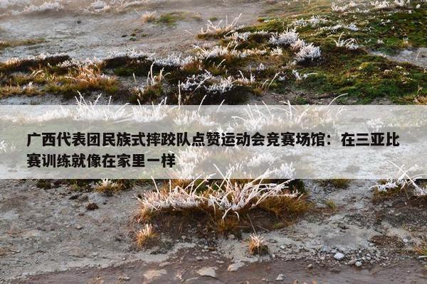 广西代表团民族式摔跤队点赞运动会竞赛场馆：在三亚比赛训练就像在家里一样