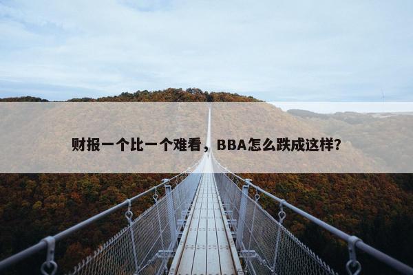 财报一个比一个难看，BBA怎么跌成这样？