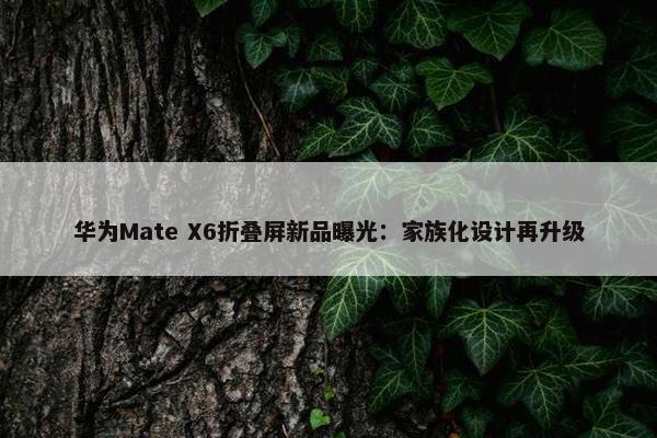 华为Mate X6折叠屏新品曝光：家族化设计再升级