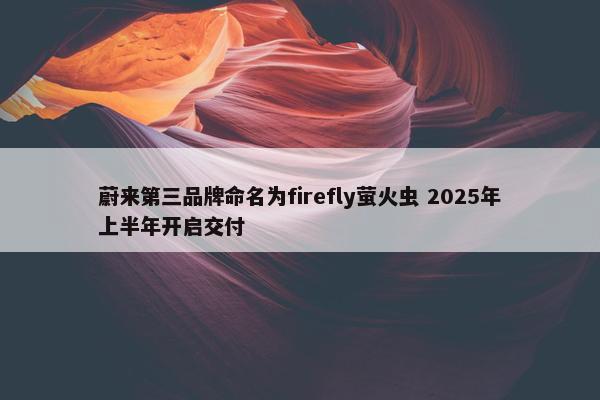 蔚来第三品牌命名为firefly萤火虫 2025年上半年开启交付