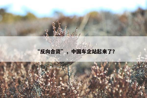 “反向合资”，中国车企站起来了？