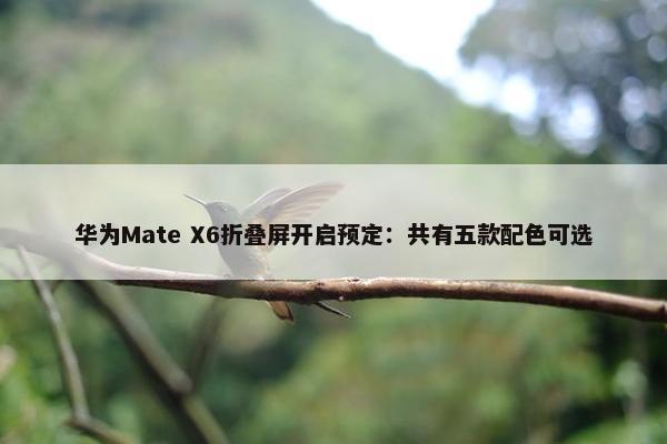 华为Mate X6折叠屏开启预定：共有五款配色可选