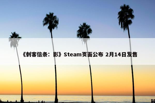 《刺客信条：影》Steam页面公布 2月14日发售