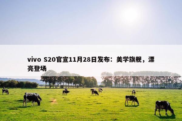 vivo S20官宣11月28日发布：美学旗舰，漂亮登场