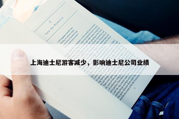 上海迪士尼游客减少，影响迪士尼公司业绩