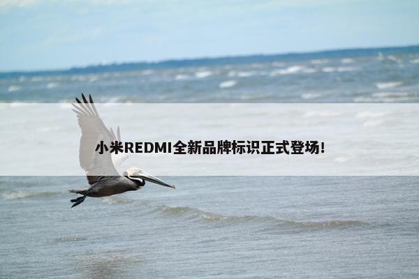 小米REDMI全新品牌标识正式登场！