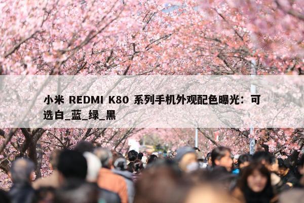 小米 REDMI K80 系列手机外观配色曝光：可选白_蓝_绿_黑