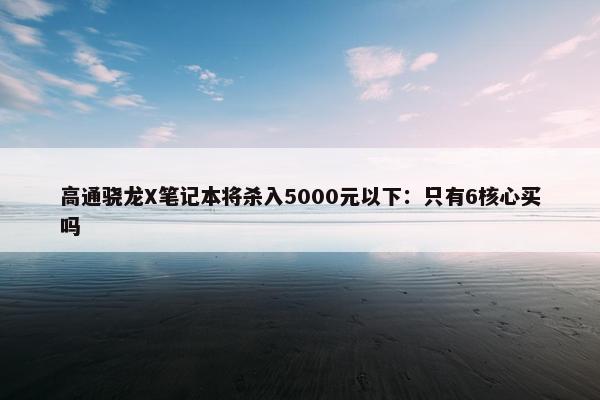 高通骁龙X笔记本将杀入5000元以下：只有6核心买吗