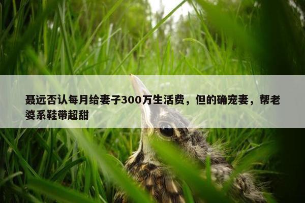 聂远否认每月给妻子300万生活费，但的确宠妻，帮老婆系鞋带超甜