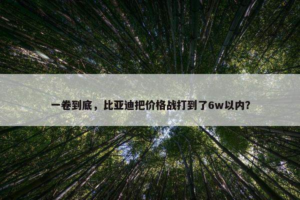 一卷到底，比亚迪把价格战打到了6w以内？