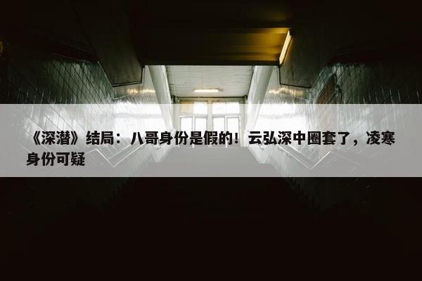 《深潜》结局：八哥身份是假的！云弘深中圈套了，凌寒身份可疑