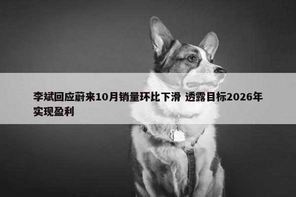 李斌回应蔚来10月销量环比下滑 透露目标2026年实现盈利