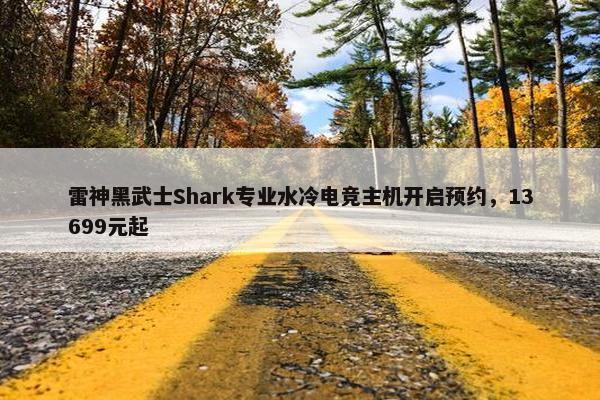 雷神黑武士Shark专业水冷电竞主机开启预约，13699元起