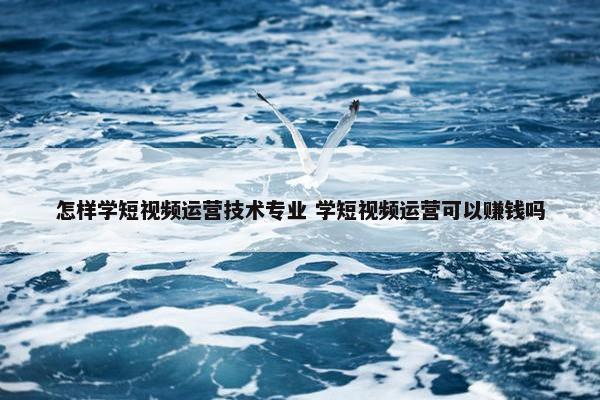 怎样学短视频运营技术专业 学短视频运营可以赚钱吗