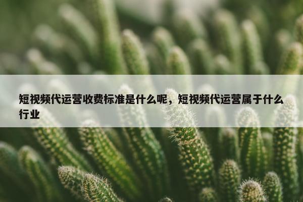 短视频代运营收费标准是什么呢，短视频代运营属于什么行业