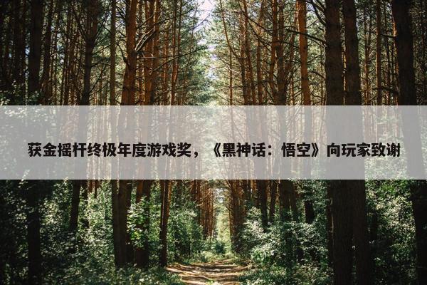 获金摇杆终极年度游戏奖，《黑神话：悟空》向玩家致谢