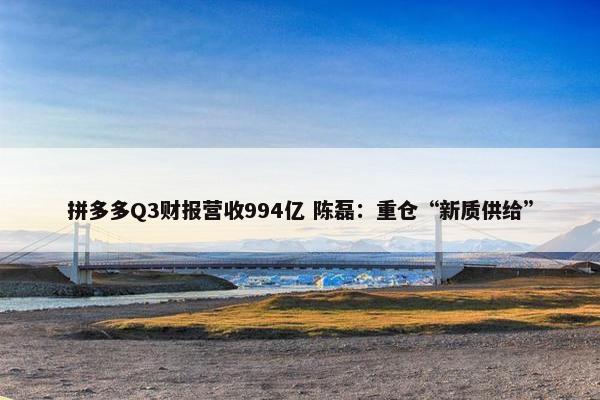 拼多多Q3财报营收994亿 陈磊：重仓“新质供给”