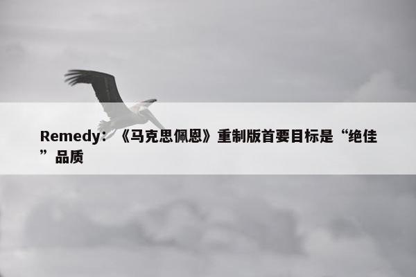 Remedy：《马克思佩恩》重制版首要目标是“绝佳”品质