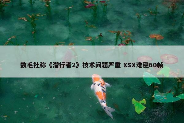 数毛社称《潜行者2》技术问题严重 XSX难稳60帧