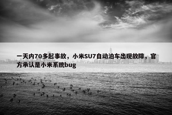 一天内70多起事故，小米SU7自动泊车出现故障，官方承认是小米系统bug