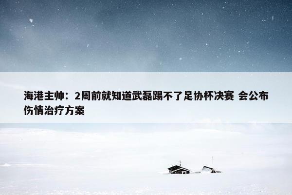 海港主帅：2周前就知道武磊踢不了足协杯决赛 会公布伤情治疗方案