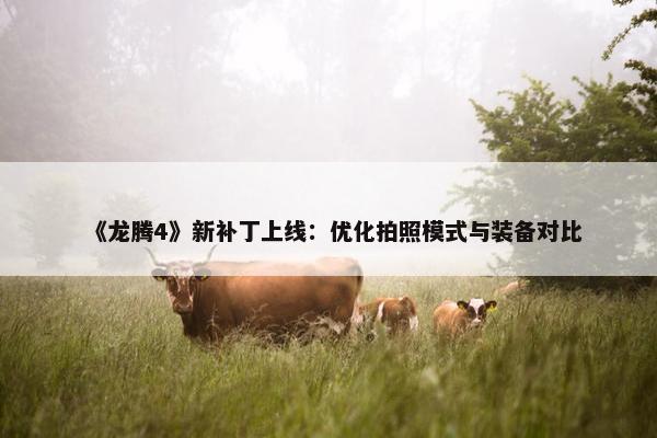 《龙腾4》新补丁上线：优化拍照模式与装备对比