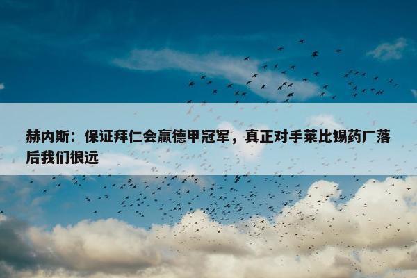 赫内斯：保证拜仁会赢德甲冠军，真正对手莱比锡药厂落后我们很远