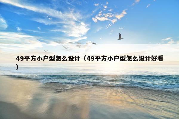 49平方小户型怎么设计（49平方小户型怎么设计好看）